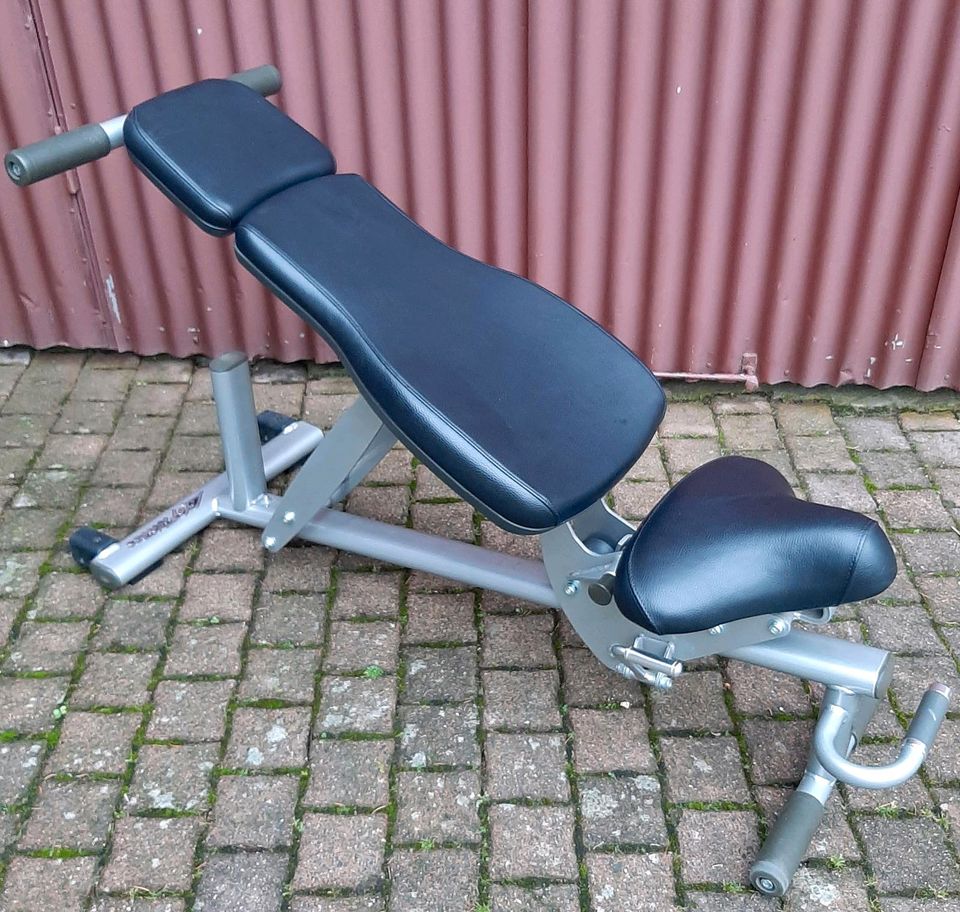 Life Fitness Adjustable Bench Profi Hantelbank Flachbank in Hochborn