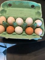 Eier zu verkaufen, nur Abholung Ludwigslust - Landkreis - Neustadt-Glewe Vorschau