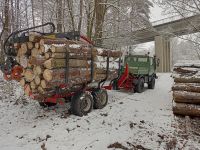 Holzrücken Holztransport Rückewagen Fällgreifer Bayern - Windischeschenbach Vorschau