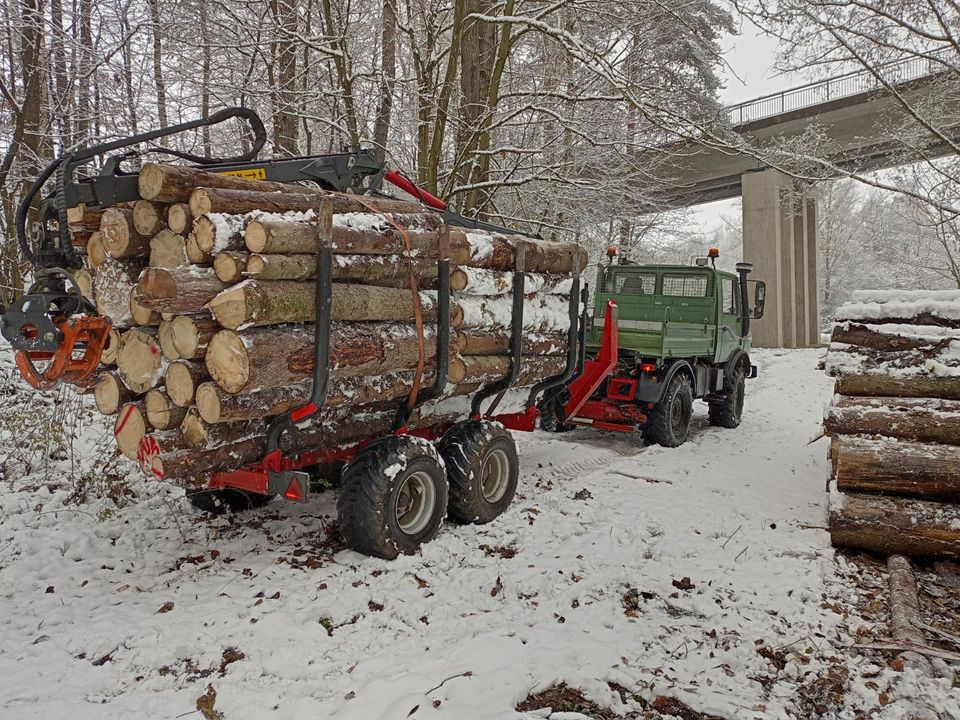 Holzrücken Holztransport Rückewagen Fällgreifer in Windischeschenbach