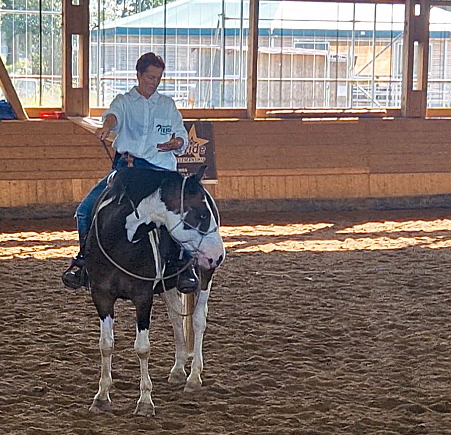 Unterricht/Kurse/Beritt von pro ride Horsemanship CoTrainerin in Laubach (Hunsrück)