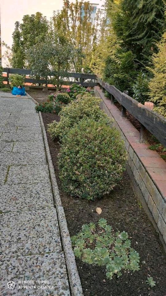 TURAN  Gartenpflege für Privat und Gewerblich in Hannover