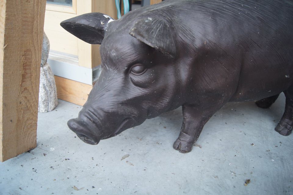 Schwein aus Kunststoff in Bad Birnbach