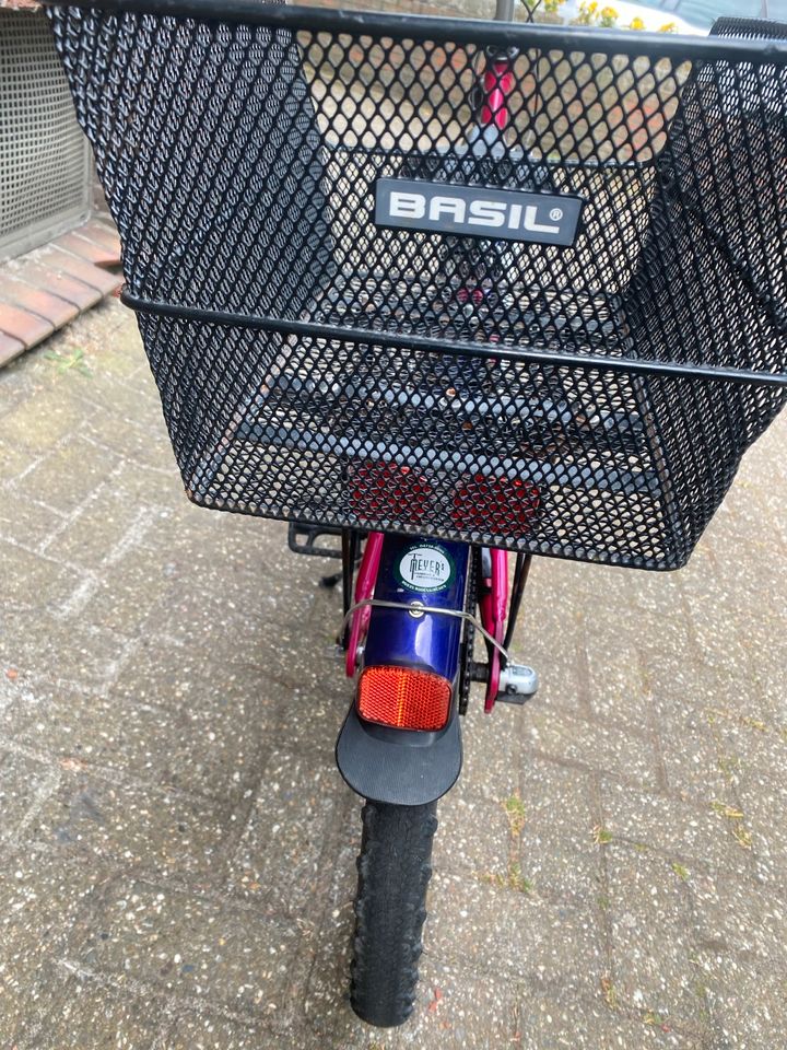 Kinderfahrrad Pegasus 24 Zoll 3 Gang in Oldenburg