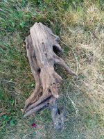Wurzel Holz ca. bis 30 cm lang und bis ca.15 cm breit Schleswig-Holstein - Twedt b Schleswig Vorschau