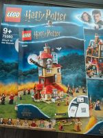 Lego Harry Potter, Set 75980 Herzogtum Lauenburg - Wentorf Vorschau