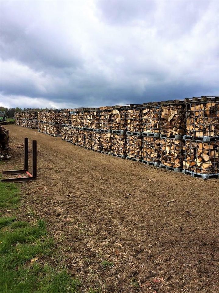 Brennholz Kaminholz Eiche Hartholz Scheitholz 33 cm in Großschirma