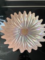 Glasschale rosa Blume Bayern - Hallbergmoos Vorschau