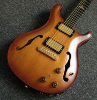 Paul Reed Smith 2007 PRS Private Stock Hollowbody Spruce - Piezo Schleswig-Holstein - Schönberg (Holstein) Vorschau