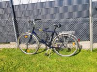 Epple Herrenfahrrad Hessen - Braunfels Vorschau