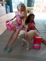 2x Barbie Puppen & Hund & Schaukelstuhl Hessen - Rodenbach Vorschau