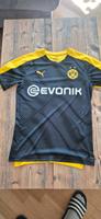 Borussia Dortmund Trikot M Brandenburg - Cottbus Vorschau