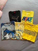 Shirts verschiedene Marken Thüringen - Erfurt Vorschau