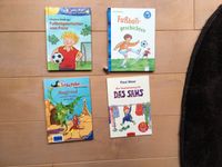Buch Kinderbuch lesen lernen 1 + 2. Klasse Leserabe Leselöwen ABC Dresden - Briesnitz Vorschau