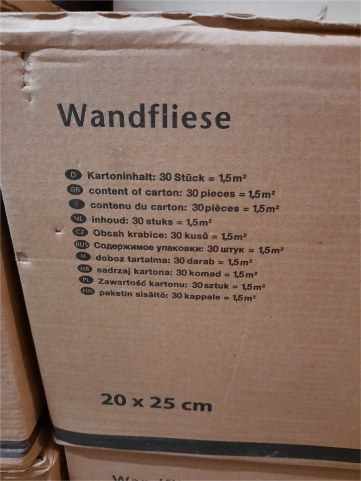 Wand Flisen in Saarbrücken