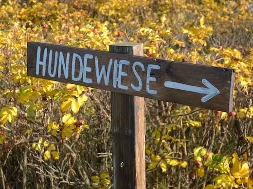 Suche Spielwiese eingezäunt für Hund in Ascheberg