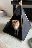 Tipi-Höhle/kleine Zelt für Katzen Friedrichshain-Kreuzberg - Kreuzberg Vorschau