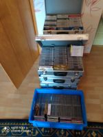 Top CD Sammlung Hessen - Haiger Vorschau