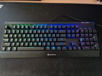 Sharkoon Skiller SGK 3 Gaming Tastatur Nordwestmecklenburg - Landkreis - Bobitz Vorschau