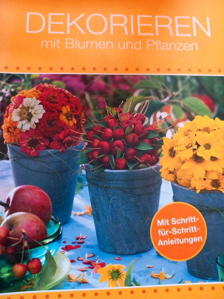 Natur Deko Blumen Pflanzen Weihnachten Frühling Dekoration Bücher in Niebüll