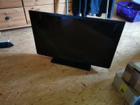 TOSHIBA 32 Zoll TV Rheinland-Pfalz - Seibersbach Vorschau