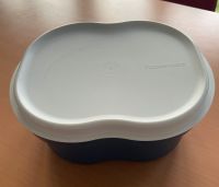 2xTupperware großer Leibwächter Brotkasten blau Leipzig - Schönefeld-Abtnaundorf Vorschau