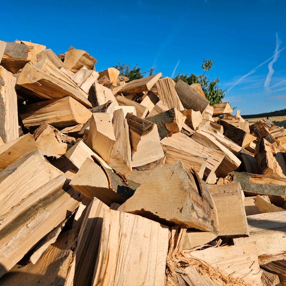 Brennholz Kaminholz Feuerholz Buche in Linsengericht