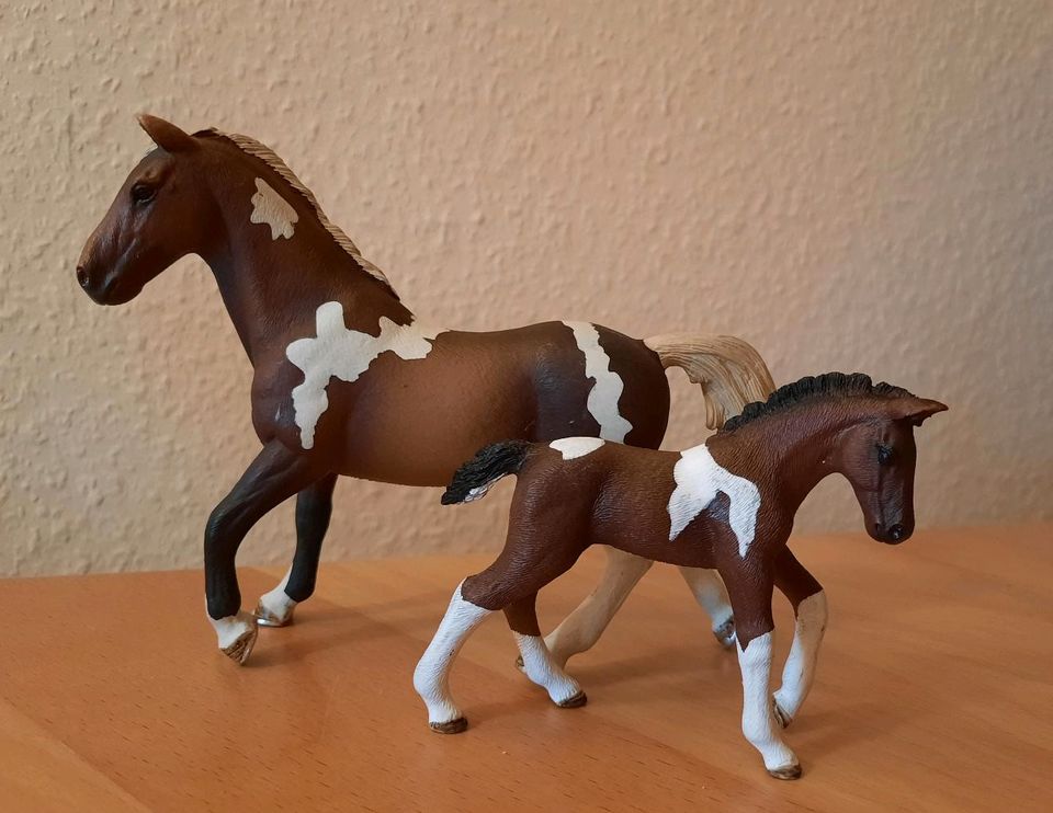 Schleich Trakener Set, Pinto  - Hengst 13756 - Fohlen 13758 in Albersdorf