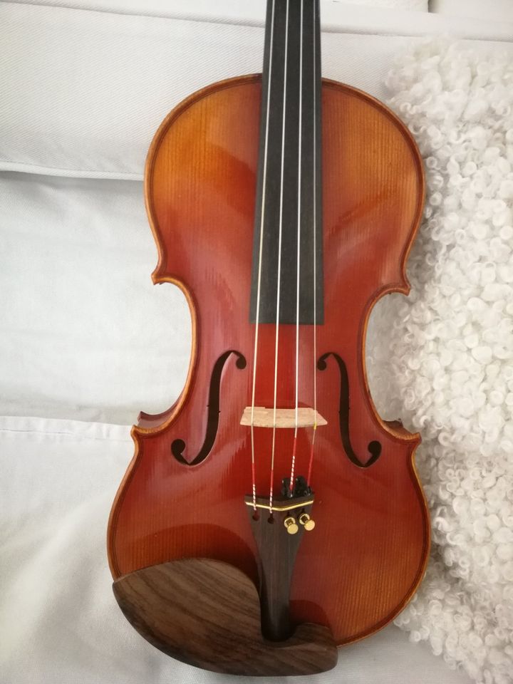 Gepflegte Geige mit Koffer  4/4 - top Zustand in Hamburg