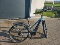 eBike Dynamics Evo Nine 5 - Lieferung bis 50km möglich Bayern - Rudelzhausen Vorschau