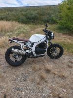 Suzuki GS 500 Scrumbler Sachsen-Anhalt - Thale Vorschau