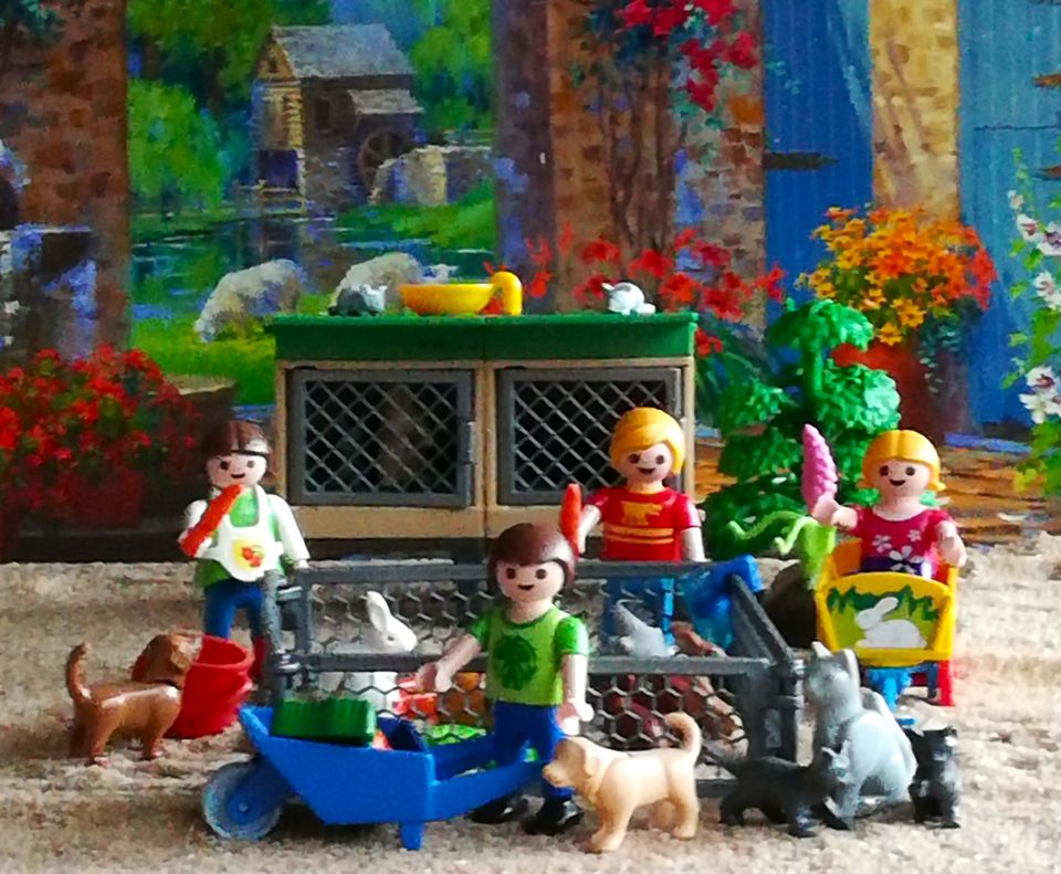 Playmobil 6140-A Bauernhof-Starterset Hasenstall OVP in Leverkusen