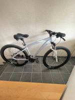 Rockrider Fahrrad Mountainbike MTB Grau Gr. S Frauen Kinder Nordrhein-Westfalen - Meschede Vorschau