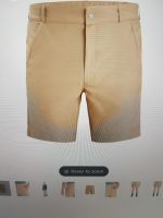 Icebreaker Men Natural Hike Shorts Sand NEU Ludwigsvorstadt-Isarvorstadt - Isarvorstadt Vorschau