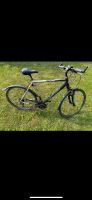 Fahrrad Herren Hessen - Wolfhagen  Vorschau