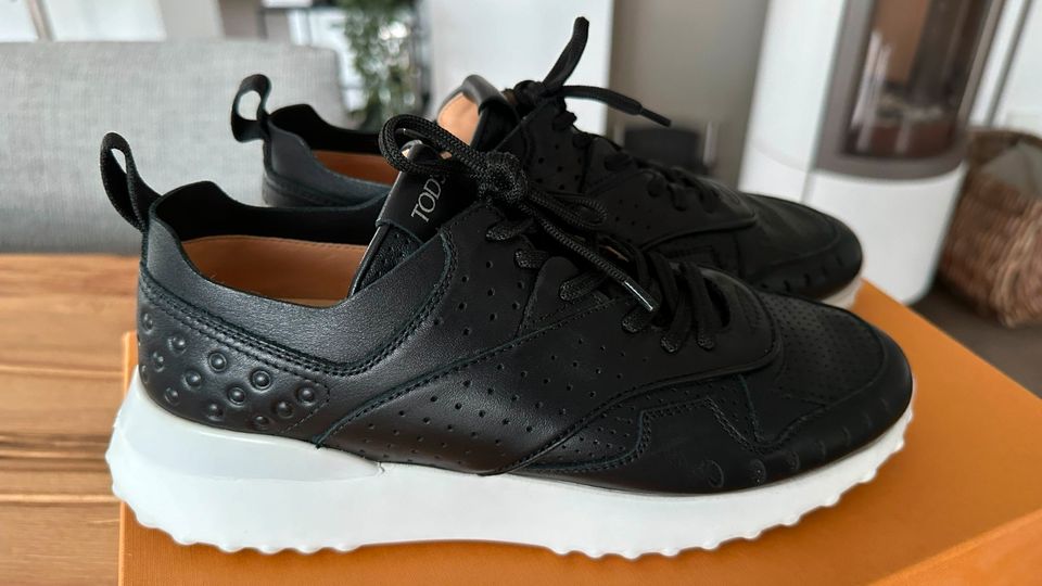Tods Sneaker NP 550 € in Herford