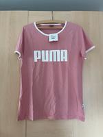 Puma Tshirt und College Jacke Größe L Niedersachsen - Holzminden Vorschau