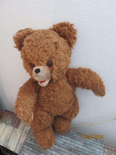 Teddy Bär mit Zunge, offener Mund, Stimme  ca. 40 cm groß in Mönchengladbach