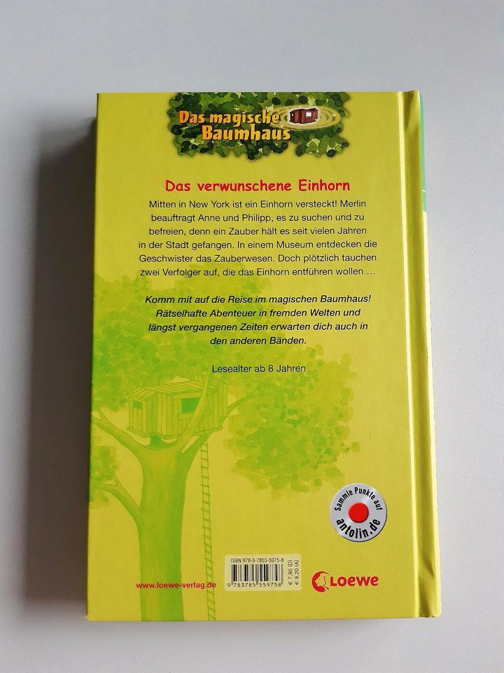 Das magische Baumhaus CD Buch 1 2 3 12 34 Paket Konvolut Kinder in Erligheim
