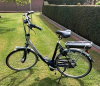 Gazelle eBike Arroyo C7 NGY Platin Niedersachsen - Dwergte Vorschau