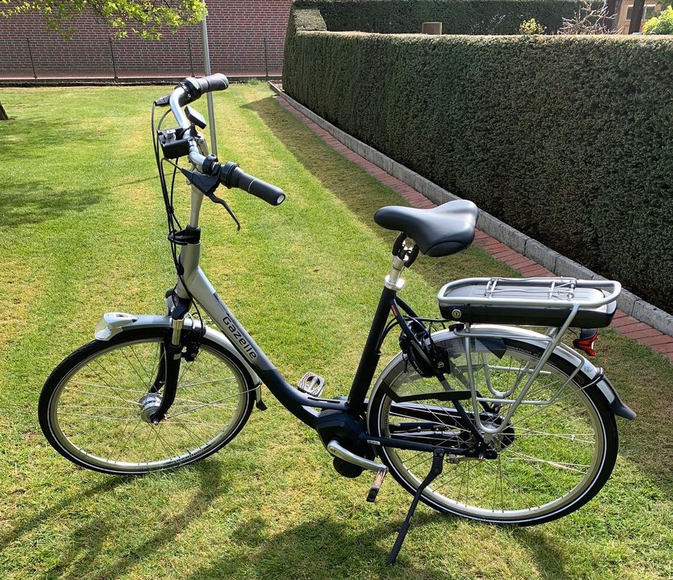 Gazelle eBike Arroyo C7 NGY Platin in Dwergte