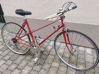 Damensportrad 80er Steyr-Daimler-Puch A-DS Hessen - Eltville Vorschau