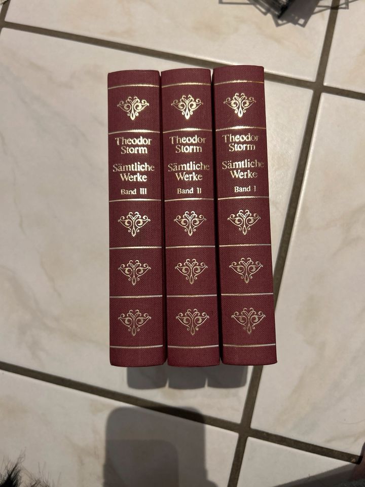 Theodor Storm sämtliche Werke in 3 Bänden rot gebunden in Fuldatal