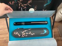 Babyliss 9000 Glätteisen Hessen - Butzbach Vorschau