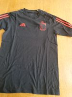 Fußballtrikot Belgien Bayern - Rosenheim Vorschau