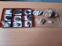 Kleine Mineraliensammlung 14teilig Nordrhein-Westfalen - Gelsenkirchen Vorschau