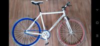 Herren Rennrad Fixie Singlespeed bike Nordrhein-Westfalen - Krefeld Vorschau