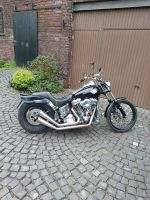 Harley Davidson Softail FXST Evo Essen - Essen-Borbeck Vorschau