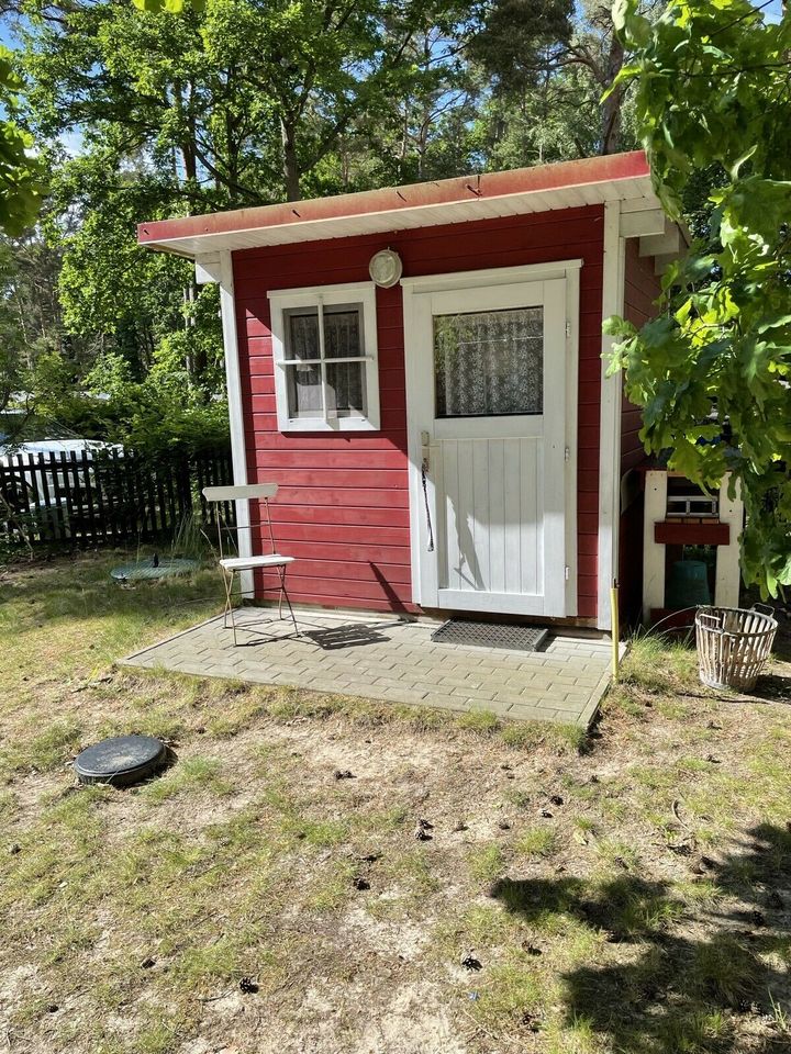 Ferienhaus Ferienbungalow Haus Insel Usedom Ostsee Sommer 2024 in Dessau-Roßlau