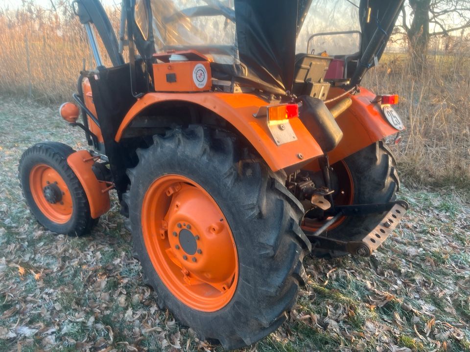 FIAT 441 445 UTB TRAKTOR SCHLEPPER BULLDOG TREKKA in Herzberg/Elster